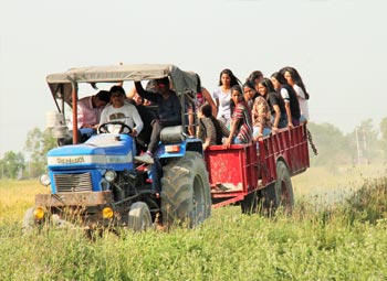 Punjab Farm Tour/Day Trip