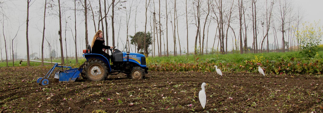 Organic farming & Tractor Ride at farmers villa
